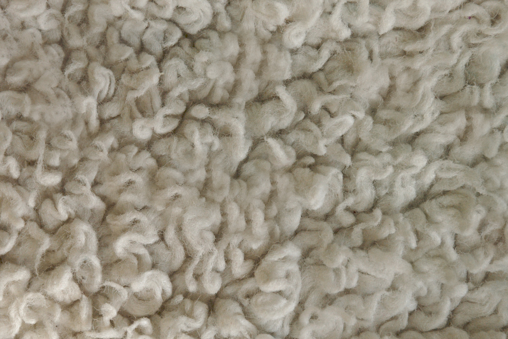 Close-up of fluffy white carpet