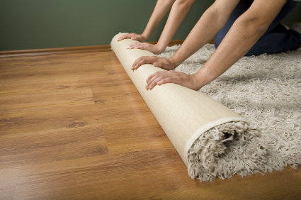 Two people rolling out a shaggy biege carpet